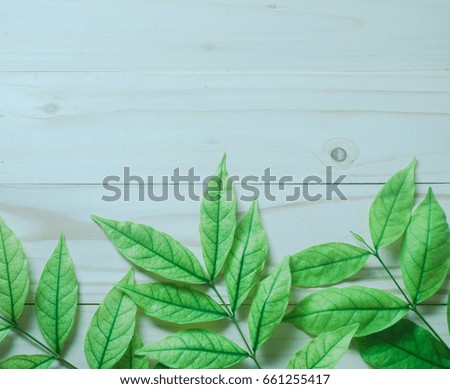 green leaves on wood background
