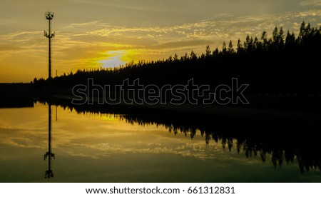 water trees sunset