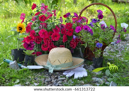 Beautiful summer background with flowers, garden tools and straw hat against sunny grass background. Vintage planting flowers concept