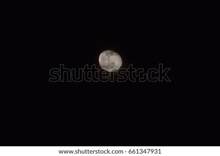 The full moon in the dark sky.
