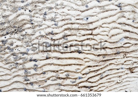 Sand texture after tidal