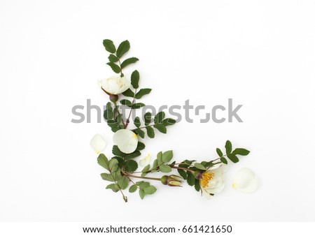 Sprigs of a tea light rose. Background image. Place for the text.