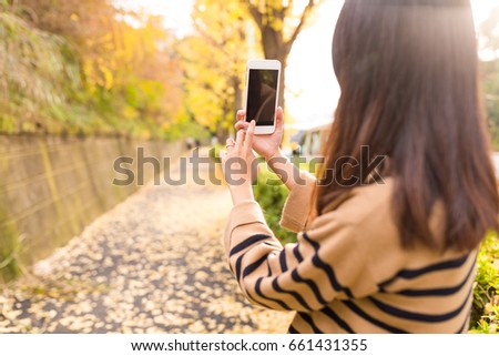 Woman taking photo with yellow ginkgo