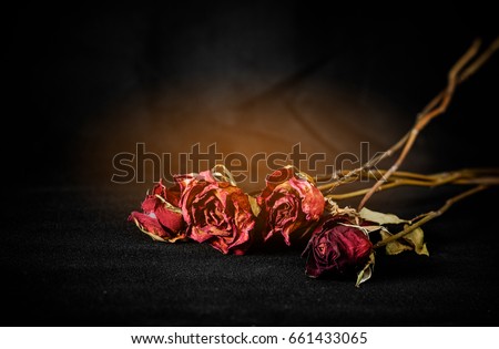 Dry roses on black fabric background. The roses are cracked like a broken heart . Royalty-Free Stock Photo #661433065