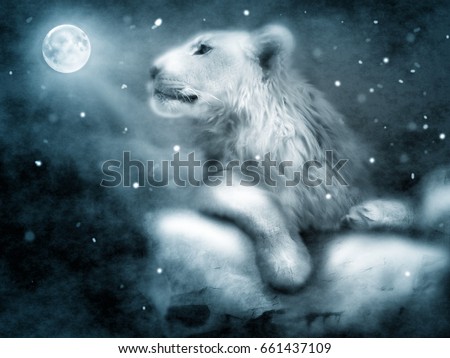 Photo manipulation of lion on rock in night winter landscape Royalty-Free Stock Photo #661437109