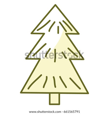 pine tree plant isolated icon