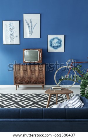 Retro TV in stylish elegant living room
