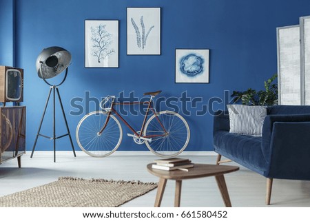 Elegant retro living room with classic bicycle