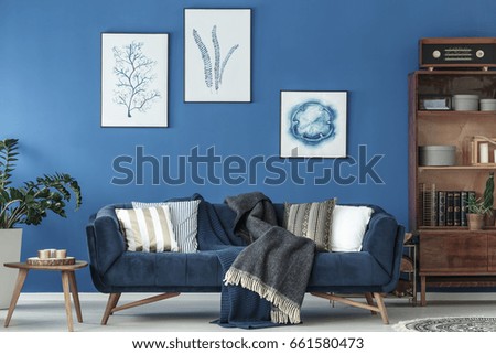 Stylish room with elegant retro sofa and vintage bookshelf