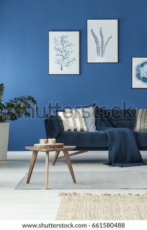 Modern living room with elegant sofa and blue wall