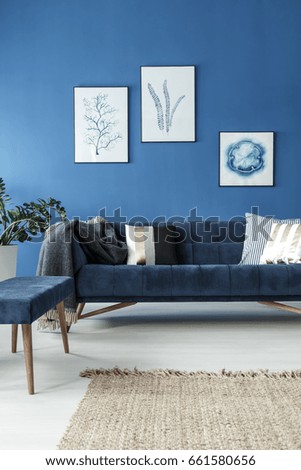 Elegant retro sofa in stylish blue room