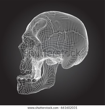 Skull Human, Scary, Locally Deformed in White Lines on the black background, Side view, geometric polygons cranium line art. Vector Illustration