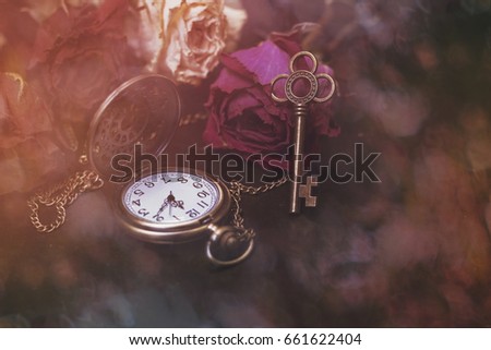 Roses, a pocket watch and an old key. Vintage Wonderland background. Soft selective focus, toning