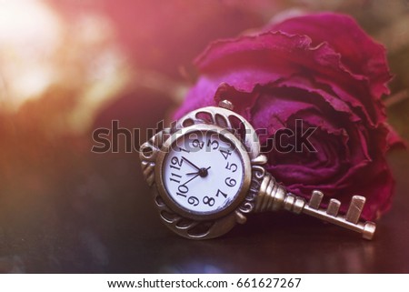 Roses,  pocket watch and old key. Vintage Wonderland background. Soft selective focus, toning