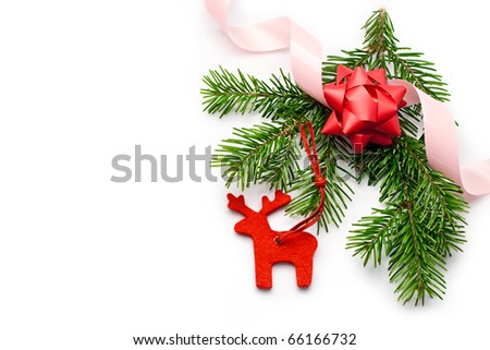 Fir and ribbon isolated on white