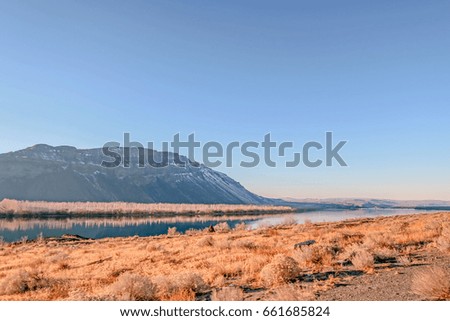 Snowy mountainside on a clear blue sky background with a vineyard at the base reflecting on the river water with yellow grass and shrubs in the foreground