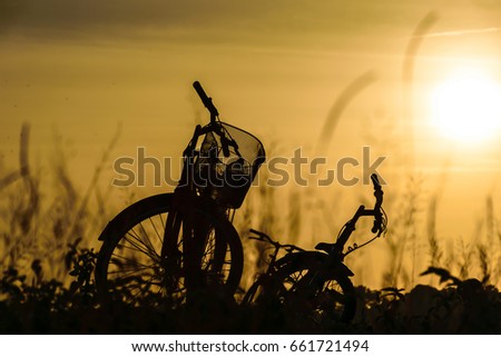Bicycle parking in river and plant flower in the evening, sunshine background