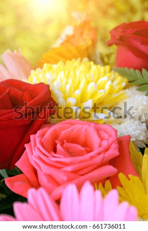 Beautiful pink rose flower in a bouquet, Naturally beautiful flowers in the garden