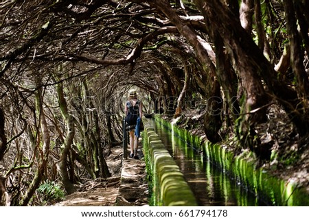 Shadow levada walks on Madeira Royalty-Free Stock Photo #661794178