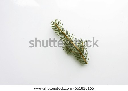 Branch of Christmas tree on white background. Top view. The design element to design web banners, postcards. Christmas, winter pattern.