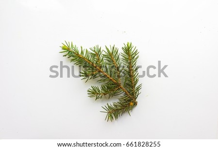 Branch of Christmas tree on white background. Top view. The design element to design web banners, postcards. Christmas, winter pattern. 