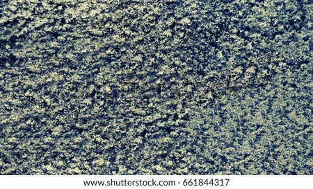 old wall of gray concrete  texture background                                