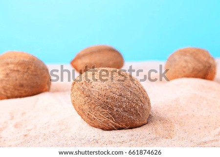 Coconuts on the beach sand