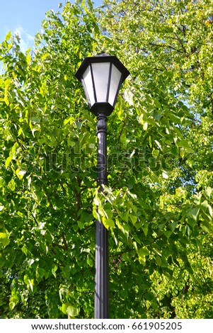 Beautiful street lamp in the park on a background of green leaves.