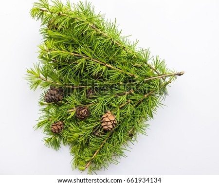 Branch of Christmas tree on white background. Top view. The design element to design web banners, postcards. Christmas, winter pattern.