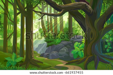 The path across a dense jungle with trees, grass, boulders, dirt, bushes and plants Royalty-Free Stock Photo #661937455