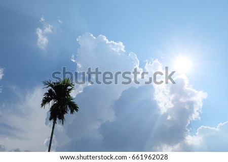 white clouds and sun and tree on the blue sky on sunny day (seamless)