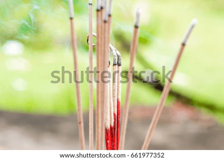 Close-up Incense sticks.