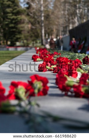 Red carnations on a gray granite slab