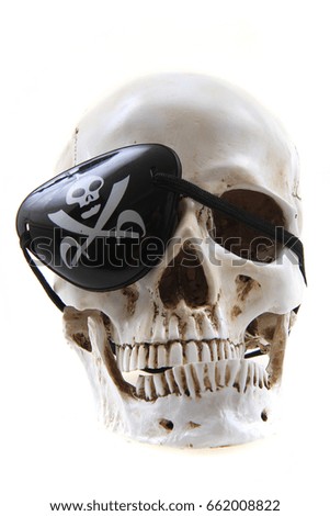 human skull s pirate isolated on the white background