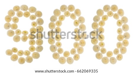 Arabic numeral 900, nine hundred, from cream flowers of chrysanthemum, isolated on white background