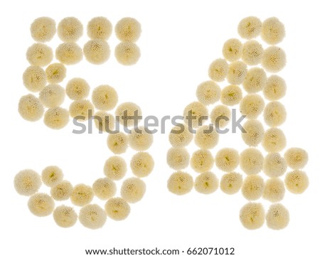 Arabic numeral 54, fifty four, from cream flowers of chrysanthemum, isolated on white background
