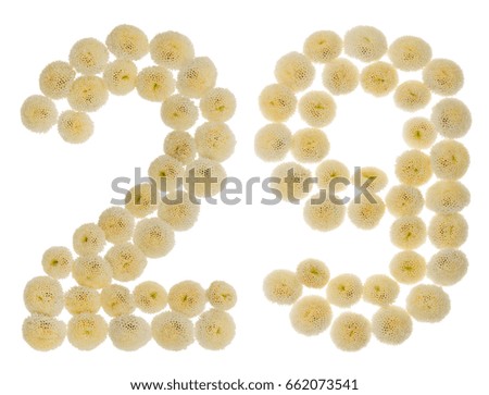 Arabic numeral 29, twenty nine, from cream flowers of chrysanthemum, isolated on white background