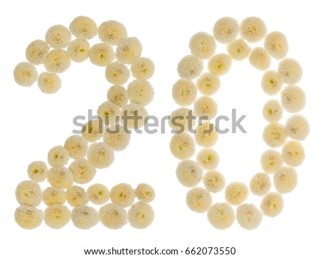Arabic numeral 20, twenty, from cream flowers of chrysanthemum, isolated on white background