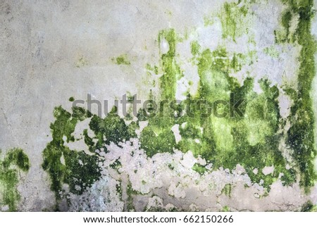 Texture of green mold on old concrete wall for 3d modellers, designers and game developers