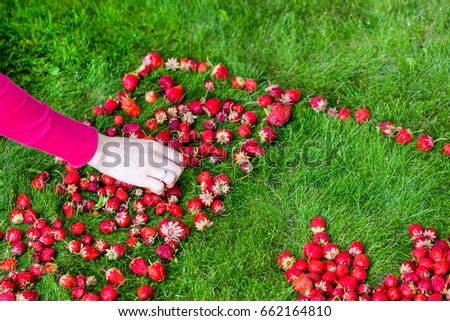 A process of  laying out canadian flag with maple leaf made of strawberries on a green lawn to celebrate Canada Day.