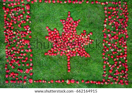 Canadian flag with maple leaf made of strawberries on a green lawn to celebrate Canada Day.
