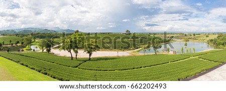 Panorama of Chui Fong Terrace Tea Plantation in the morning, Mae Salong Mountain, Chiang Rai, Thailand. Landscape picture