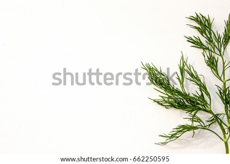 Dill green stocky on a white background. Horizontal orientation of the sheet. Photo for your design.