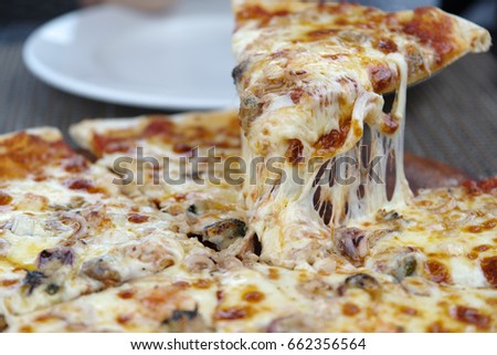 cheese pizza on the plate