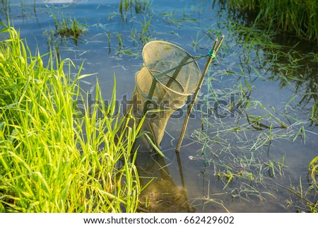 fishing tank in the background of the river and green grass