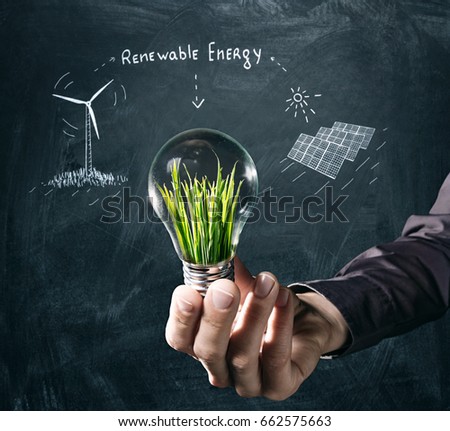 Renewable energy concept. Hand holds a light bulb with green grass inside on chalkboard background. On the board are painted a windmill and solar panels.