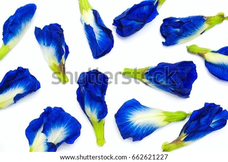 Pattern with butterfly or blue pea on white background