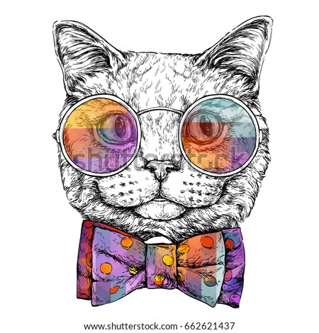 Hand drawn portrait of Cat in glasses with bow tie. Vector illustration isolated on white