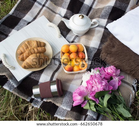 Summer picnic with fresh fruits