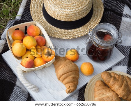 Summer picnic with fresh fruits